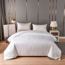 丝润一拍松桑蚕丝冬被V代