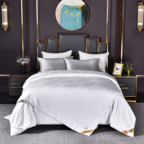 丝润一拍松二合一桑蚕丝子母被V代