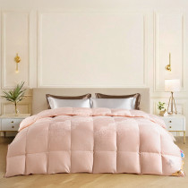 雪域臻绒系列鹅绒四季被-安澜